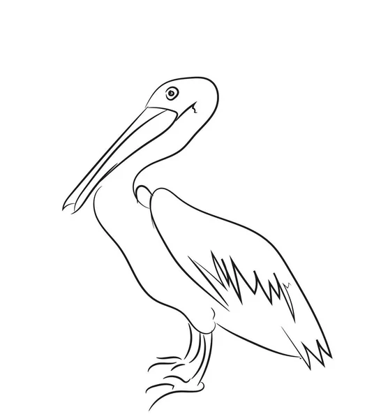 Linha gráfica pelicano, vetor , —  Vetores de Stock