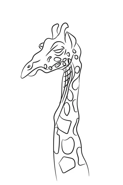 Giraff grafisk linjer, vektor — Stock vektor