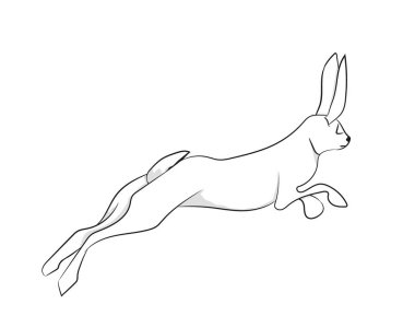 beyaz tavşan vektör, beyaz arka plan