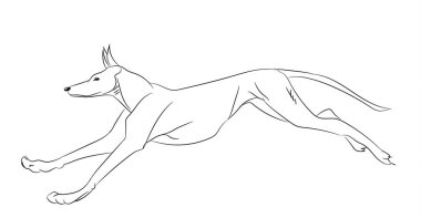 köpek koşu, çizgiler, vektör