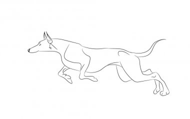 köpek koşu, çizgiler, vektör