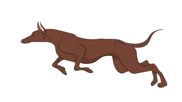 Perro corriendo, color, vector — Archivo Imágenes Vectoriales