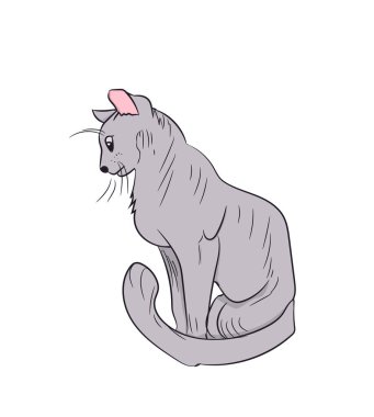 kedi renk, vektör