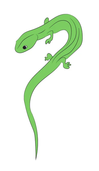 Lizard color vector — Stock Vector