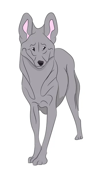 Illustration vectorielle du loup — Image vectorielle