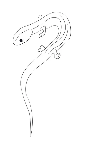 蜥蜴线, 载体 — 图库矢量图片