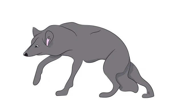 Illustration vectorielle du loup — Image vectorielle