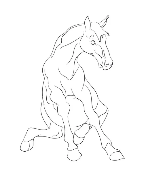 Horse sits vector lines — Stock Vector