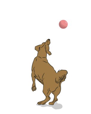 köpek yakalar top, vektör