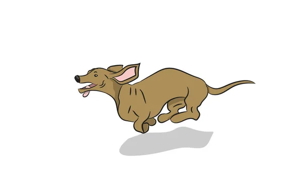 Dachshund chien courir, vecteur — Image vectorielle