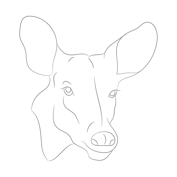 Venado retrato vector ilustración, dibujo de línea, vector — Archivo Imágenes Vectoriales