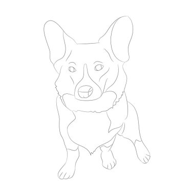 Corgi köpeklerinin vektör çizimi, çizgi çizimi