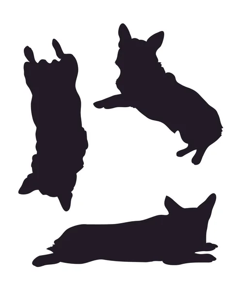 Vector illustratie van corgi honden tekening silhouet — Stockvector