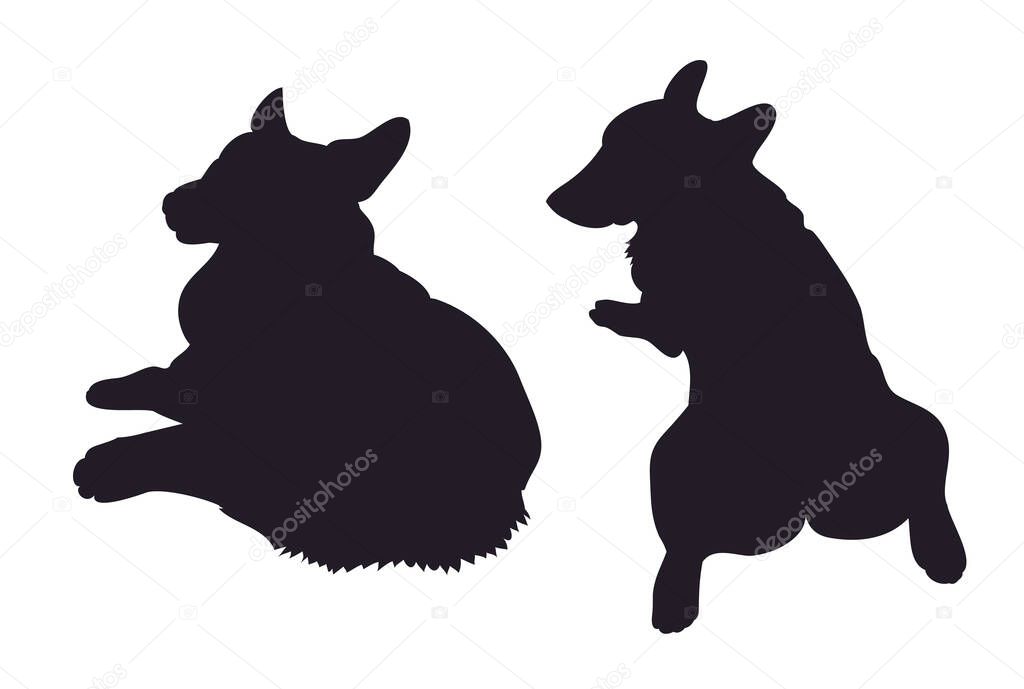Vector illustration of corgi dogs drawing silhouette