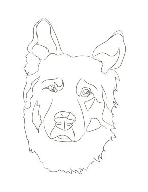 Köpek portresi çizgiler, vektör, beyaz arkaplan