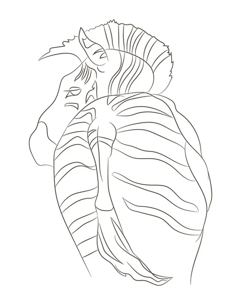 Zebra Portrait Vector Illustration Line Draw Vector White Background — 스톡 벡터