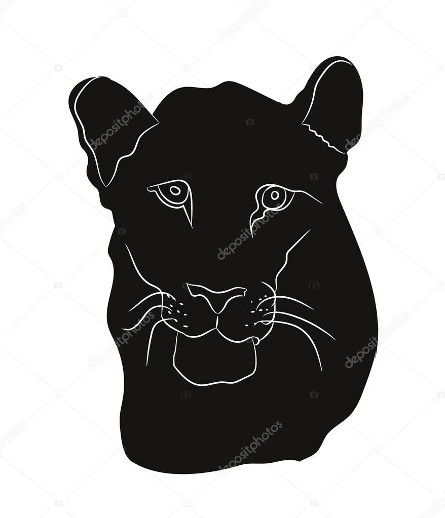 vector illustration of a lioness portrait, silhouette drawing, vector, white background