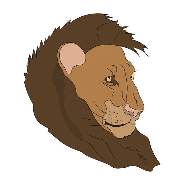 Lion Portrait Dessin Couleur Vecteur Fond Blanc — Image vectorielle