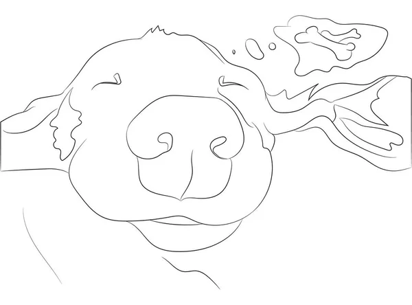 Uyuyan bir dachshund portresinin vektör çizimi, vektör, beyaz arkaplan