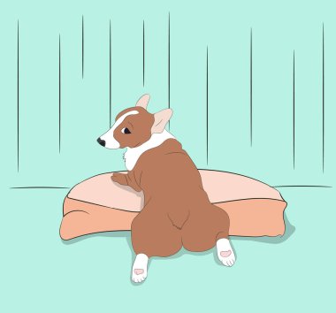 Bir odada oturan orgi köpeği, vektör, renk