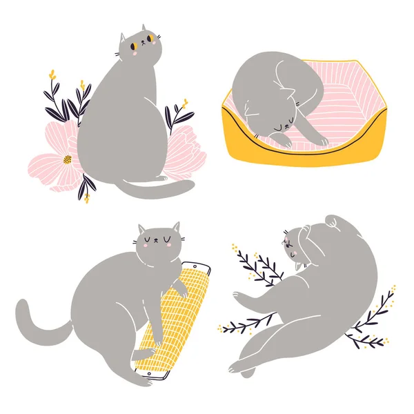 Lindo Británico Taquigrafía Gato Vector Colección — Archivo Imágenes Vectoriales