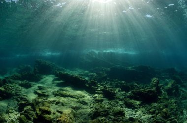 Mavi arka plan ile sualtı güneş ışığı sahne