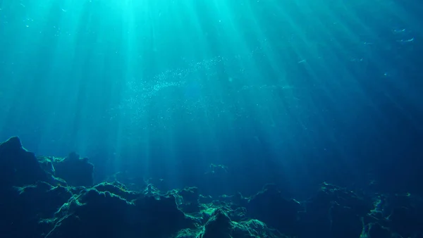 Onderwater Scène Met Zonlicht — Stockfoto