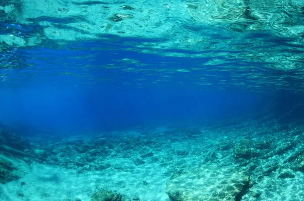 Scène Sous Marine Tranquille Avec Espace Copie Image En Vente