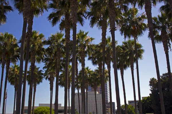 Los Angeles Felhőkarcolók Palota Játék Kerület Kínai Negyed Olvera Utca — Stock Fotó