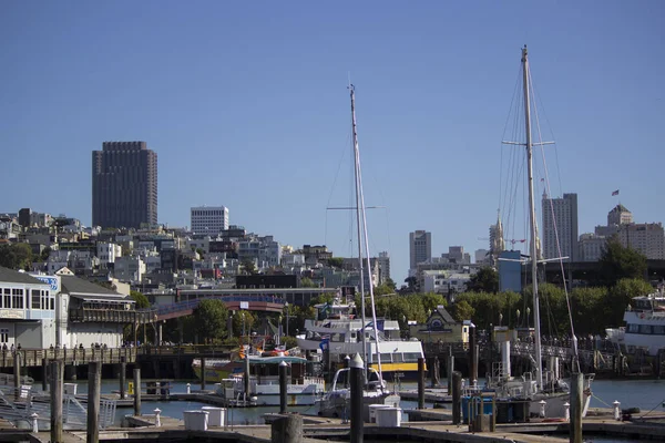 Сан Франциско Пірс Морський Левовий Туризм Подорожує Міськими Деревами Кабельного — стокове фото