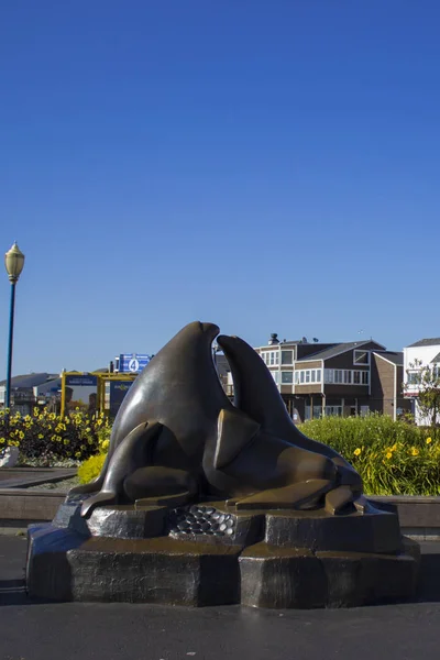 San Francisco Pier Marine Leeuw Toerisme Reizen Stad Kabelbaan Bomen — Stockfoto