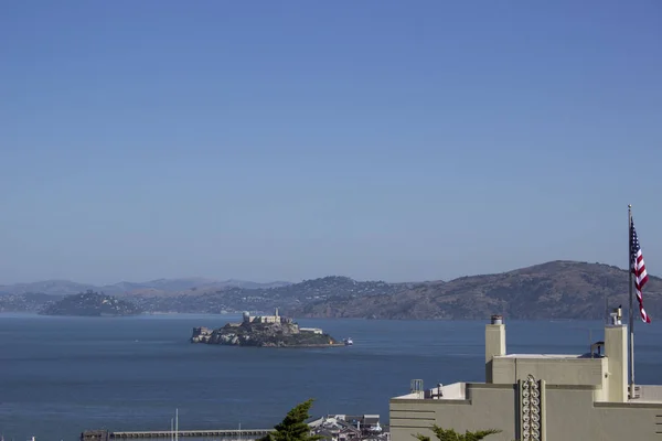 San Francisco Piren Marina Lejon Turism Resa Stad Linbana Träd — Stockfoto