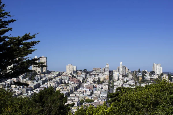 San Francisco Pier Marine Löwe Tourismus Reise Stadt Seilbahn Bäume — Stockfoto