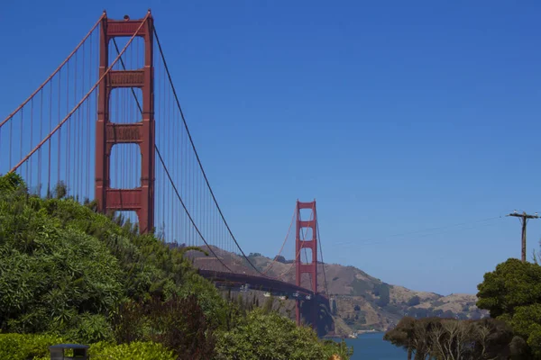 San Francisco Piren Marina Lejon Turism Resa Stad Linbana Träd — Stockfoto