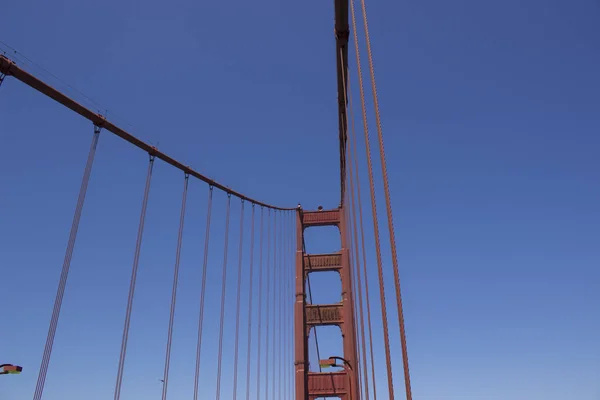 San Francisco Cais Leão Marinho Turismo Viagem Cidade Teleférico Árvores — Fotografia de Stock