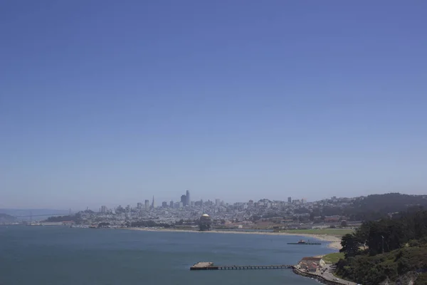 San Francisco Piren Marina Lejon Turism Resa Stad Linbana Träd — Stockfoto