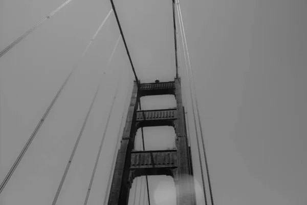 Muelle San Francisco Leones Marinos Viajan Por Cable Por Ciudad — Foto de Stock