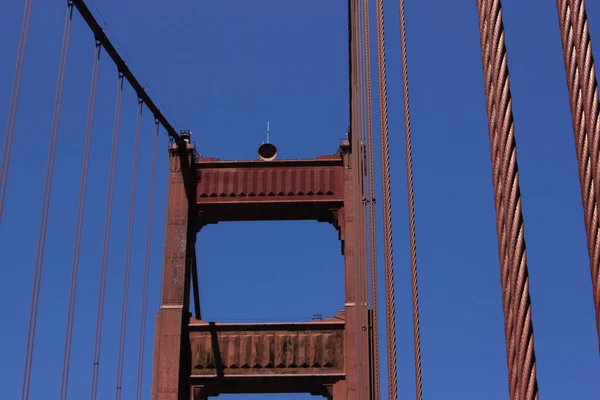 Muelle San Francisco Leones Marinos Viajan Por Cable Por Ciudad — Foto de Stock
