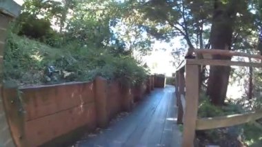 San Francisco gece gündüz iskele 39 deniz aslanı turizmi seyehat şehri okyanus kıyısı teleferik ağaçları doğa sarayları gökdelenler inşa ediyor