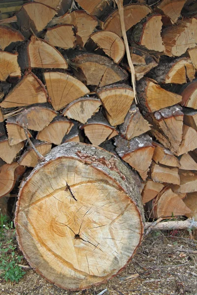 Detal drewno ogień — Zdjęcie stockowe