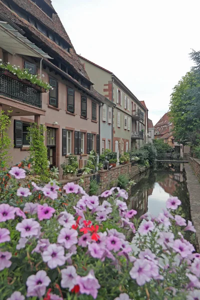 Vieille ville Wissembourg — Photo