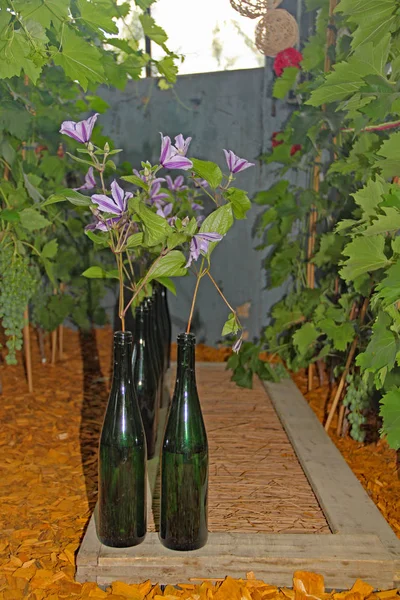 Verse bloemen in flessen — Stockfoto