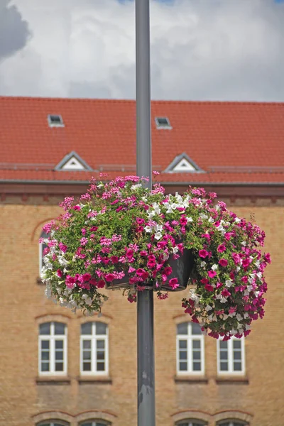 Cidade Flores na primavera — Fotografia de Stock