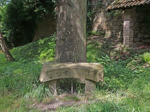 Little Stone Bench — Stock Photo, Image