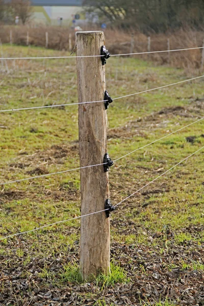 An electric willow fence — Stock Photo, Image