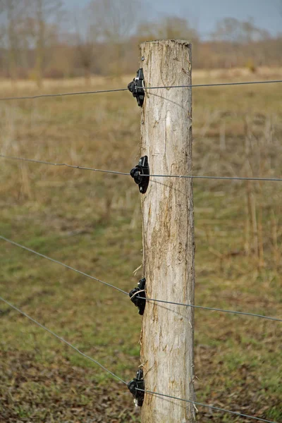 An electric willow fence — Stock Photo, Image