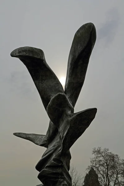 Die Welle am Rhein — Stockfoto