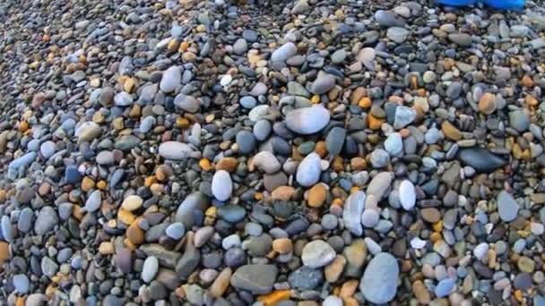 Young woman tries to touch by finger small crab runs on pebble beach to see water. Action cam view. — Stock Video