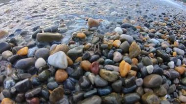 Küçük yengeç suyu görmek için çakıl taşı plajında koşar. Okyanustaki vahşi yaşamı gösteren genç bir kadın. Eylem kamerası görünümü.