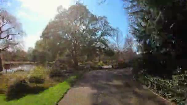 London, UK, March 17, 2020: Hyperlapse in Regents Park. Camera moves along paths of park. Flowering trees. — Stock Video